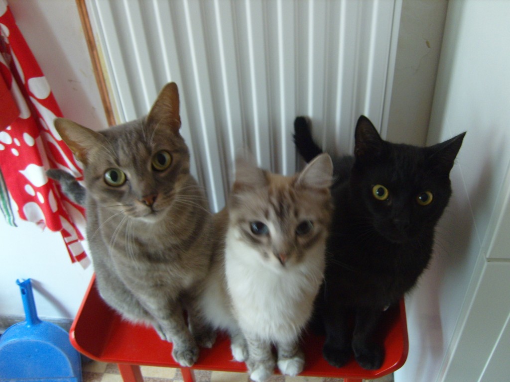 moi et les chacons moi et les chacons