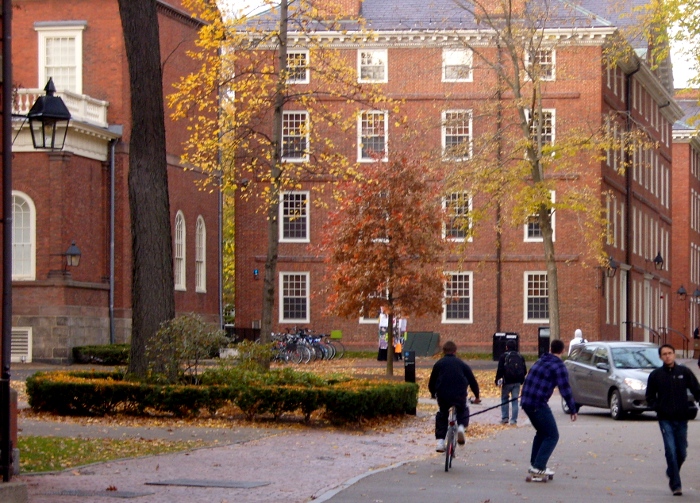 Harvard Cambridge 11