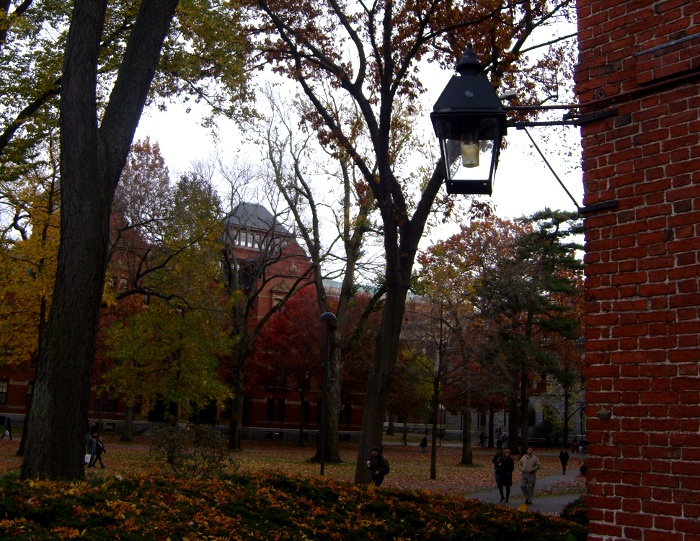 Harvard Cambridge 3