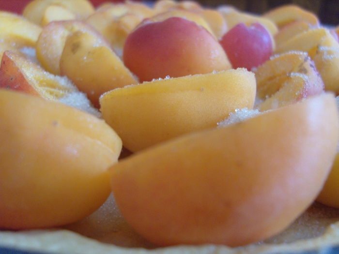tarte abricots 4