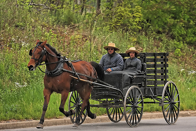 4556254717_0720c8c4e4_z