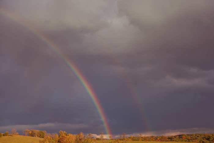 double_rainbow_Jodi Miller Wedding