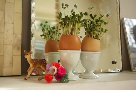 printemps // source: www.fifimandirac.com