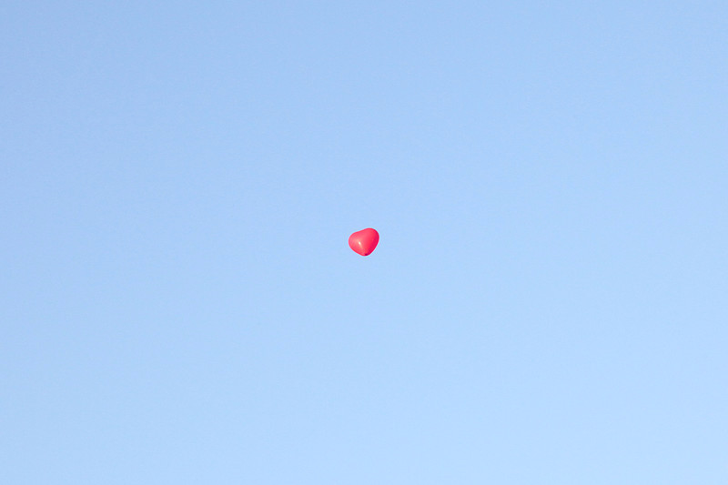 mariage dmes.fr copyright marie calfopoulos