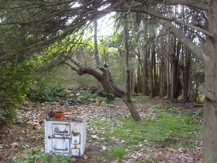 <Digimax S1000 / Kenox S1000>