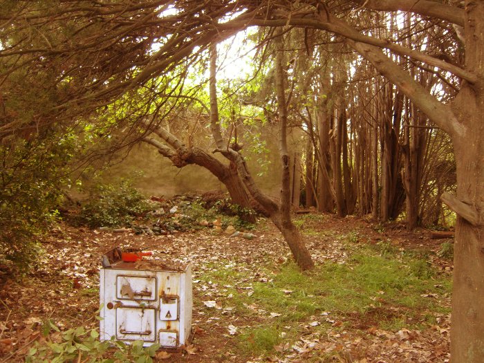 <Digimax S1000 / Kenox S1000>