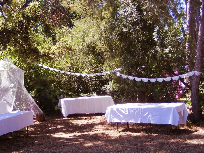 mariage en exterieur dmes.fr