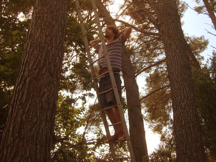 mariage dmes.fr petit bois