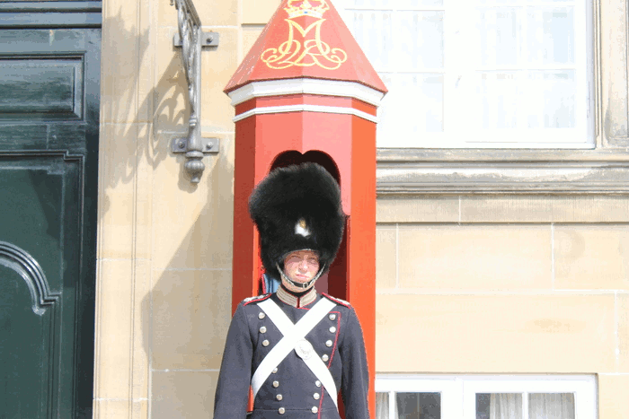 garde danois // Copenhague dmes.fr