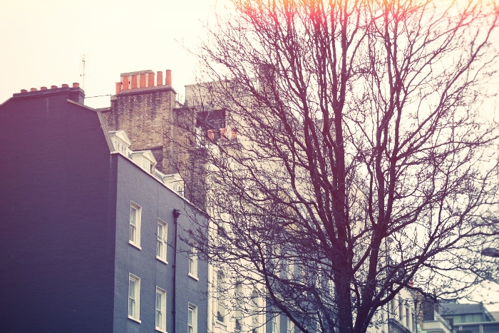 berkeley square dmes.fr