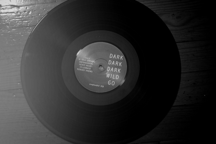 dark dark dark vinyle dmes.fr