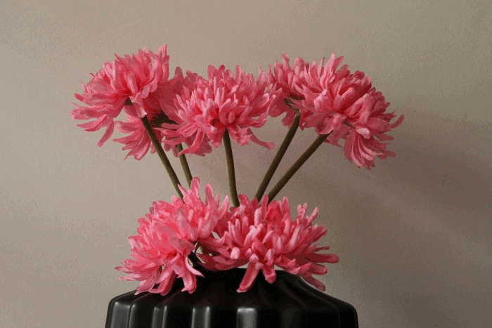 1fleurs deco (c) www.dmes.fr voila voila