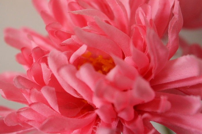 5fleurs deco (c) www.dmes.fr