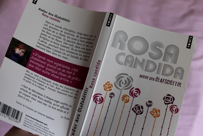 Rosa candida www.dmes.fr